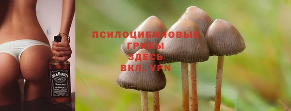 эйфоретик Михайловка